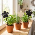Bloemenstekers mini houten plaquettes zwart Ø10cm set van 6 decoraties | Floristik24.nl