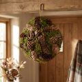 Decoratieve bal van echte kegels met mos natuurlijke decoratie Ø25cm H25cm | Floristik24.nl