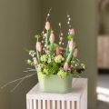 Plantenbak ovaal groen kunststof 20×10×11cm 3 stuks | Floristik24.nl