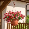 Hangmand Galicia Ø30cm terracotta | Floristik24.nl