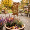 Tuinsteker roest uil metaal patina plug 19cm | Floristik24.nl