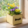 Plantenlade houten sierplantenbak geel 12,5cm | Floristik24.nl