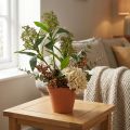 Kunstmatige groene Skimmia japonica bloemen, 45 cm, 2 stuks | Floristik24.nl