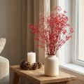Gypsophila Gypsophila gedroogde bloemen rood 50cm 55g | Floristik24.nl