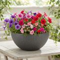 Plantenbak kunststof antraciet Ø35cm H16,5cm | Floristik24.nl