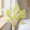 Varens: Geconserveerd, hoogwaardig natuurlijk materiaal voor duurzame decoratieprojecten, 40 cm, 10 stuks | Floristik24.nl