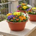 Kunststof plantenbak Ø27cm ronde schaal terracotta 5 stuks | Floristik24.nl