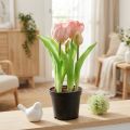 Kunstbloemen in Pot Kunsttulpen Roze Geel 22,5cm | Floristik24.nl