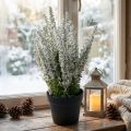 Erika wit heide bezem heide kunstplant H26cm | Floristik24.nl