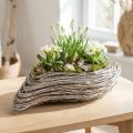 Plantenbootplant golf rotan naturel wit 45x16cm | Floristik24.nl
