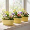 Plantenschaal ovale sierschaal kunststof geel 27×11×10cm 3st | Floristik24.nl