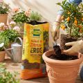 FRUX potgrond en citrusgrond 18 liter | Floristik24.nl