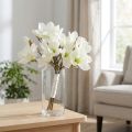 Magnolia bos wit 40cm 5 st | Floristik24.nl