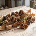 Landlotus Nature 50 stuks | Floristik24.nl