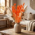 Oranje hazenstaartgras gedroogde bloemendecoratie 50-60cm 50g - Fluweelzachte Lagurus voor tafeldecoratie en knutselen | Floristik24.nl