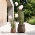 Kunstbloemen decoratieve bolbloem allium sierui kunst 54cm | Floristik24.nl