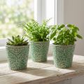 Plantenbak keramiek craquelé glazuur groen Ø11cm H11cm 3st | Floristik24.nl