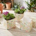 Cadeauzakje plantenzakje cadeauzakje met patroon 10,5cm 8 st | Floristik24.nl