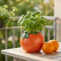 Mediterrane decoratieve oranje vaas bloempot keramiek Ø9cm | Floristik24.nl