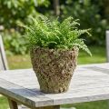 Bloempot rustieke plantenbak moslook Ø17cm H16.5cm | Floristik24.nl