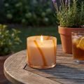 Geurkaars in glas Citronella kaars retro design Ø8cm H8cm | Floristik24.nl