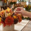 Rieten kegel naturel 25 stuks | Floristik24.nl