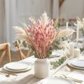 Konijnenstaartgras (Lagurus) Gedroogd lichtroze 60 cm 50 g Gedroogde bloemendecoratie Kunstmatig Boho Bruiloft | Floristik24.nl