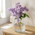 Glazen vaas helder cilindrisch Ø12cm H20cm | Floristik24.nl