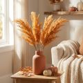 Kunstmatig pampasgras, oranje, gedroogd gras, 35 cm, 4 stuks | Floristik24.nl