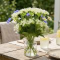 Dille bloeiend, kunstkruiden, sierplant groen, wit 49cm 9st | Floristik24.nl