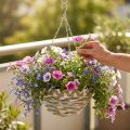 Plantenmand om op te hangen, bloemenmand gevlochten wit, grijs, naturel H16cm Ø30cm | Floristik24.nl