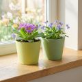 Papieren pot, mini bloempot, cachepot blauw/groen Ø9cm H7.5cm 4st | Floristik24.nl