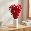 Konijnenstaartgras (Lagurus) Gedroogd Rood 60cm 50g Gedroogde Bloemendecoratie | Floristik24.nl