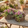 Plantenbak bloempot hout bark L23/29,5cm set van 2 | Floristik24.nl