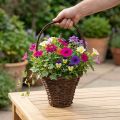 Mand met handvat, rustieke plantenmand Ø24×H18cm | Floristik24.nl