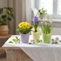 Plantenpot geweven plantenbak papier groen, geel, paars Ø7cm H13cm 12st | Floristik24.nl