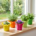 Plantenbak voor potplanten, kleurrijk assorti. Ø10,5cm 10 stuks | Floristik24.nl
