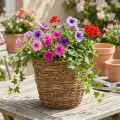 Plantenmand voor wijnranken Ø25cm H22.5cm natuurlijke plantenbak | Floristik24.nl