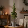 Puntspar in pot kunstkerstboom Ø12cm H70cm | Floristik24.nl