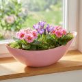 Plantenboot plastic bloemenschaal roze 28×9×9cm 3st | Floristik24.nl