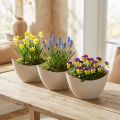 Plantenboot sierschaal kunststof beige 20×9cm H12cm 3st | Floristik24.nl