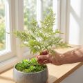 Kunstvaren kunstplant in groen gevlokt L45cm | Floristik24.nl
