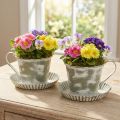 Decoratieve beker metaal wit gewassen antiek Ø9cm H8cm 2 stuks | Floristik24.nl