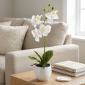 Witte orchideeën kunstbloemen
