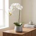 Kunstmatige orchidee,