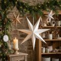 Papieren sterren als decoratie voor een feestelijke sfeer, om op te hangen. | Floristik24.nl