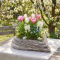 Plantenhart plantenschaal rotan hart wit naturel 28x34cm | Floristik24.nl