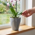 Orchideepot glanzend Ø12,5cm grijs 1 st | Floristik24.nl