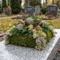 Decoratief mos – echt mos en korstmos voor bloemstukken 250g | Floristik24.nl