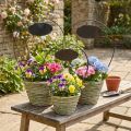 Bloemenmand met handvat en metalen bordje, Ø23/20/17 cm, set van 3. | Floristik24.nl